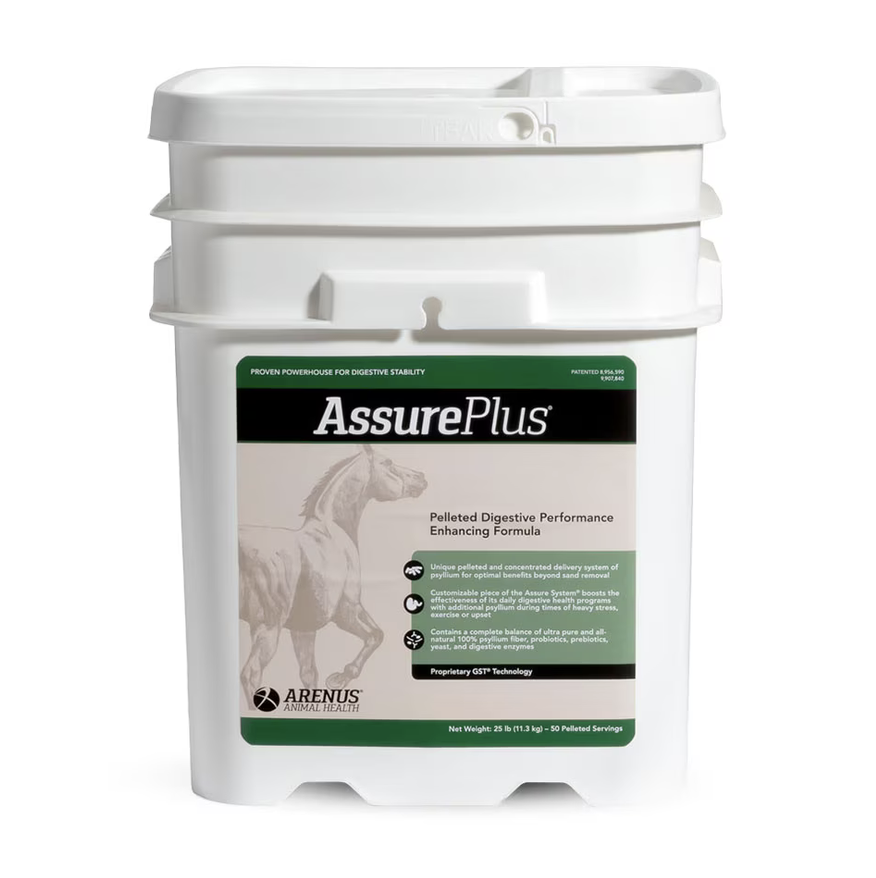 Arenus Assure Plus available at FarmVet for gut health in horses